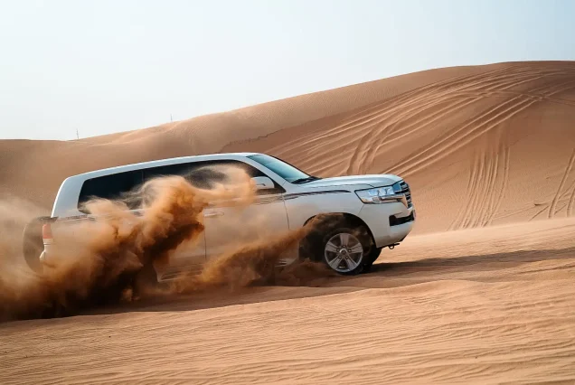 Evening Desert Safari in Abu Dhabi